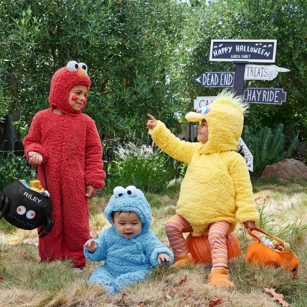 Sesame Street® Big Bird Costume 2t/3t (marked)- PBK